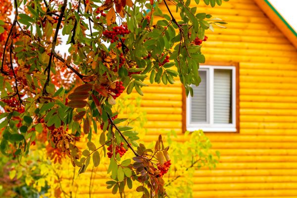 Cost of Garden Window Replacement in El Dorado Hills